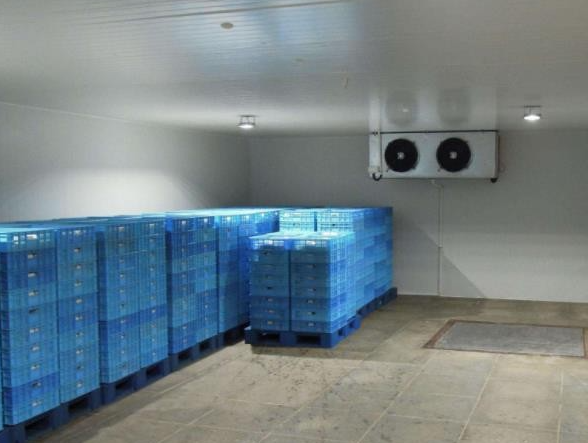 低溫冷凍庫造價(jià) 低溫冷凍庫造價(jià)