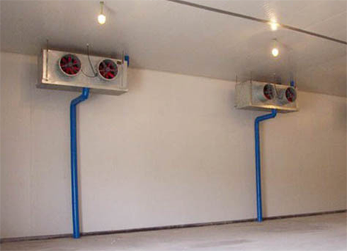 雞蛋保鮮庫建造費用 雞蛋保鮮庫建造費用