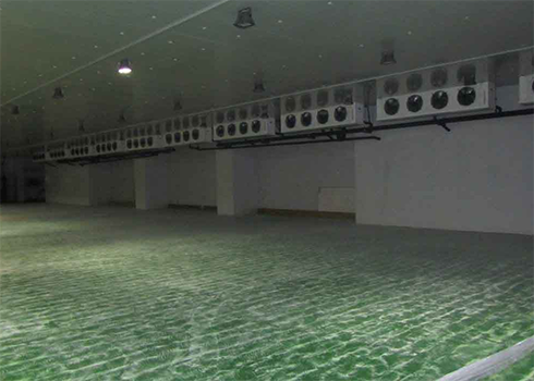 大型海鮮物流冷藏庫建設(shè)價(jià)格 大型海鮮物流冷藏庫建設(shè)價(jià)格