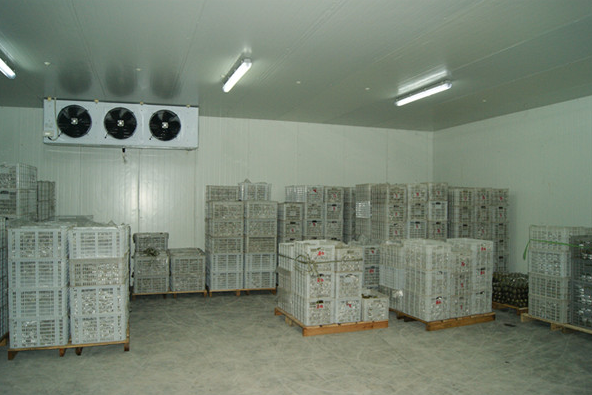 氣調(diào)冷庫(kù)建造廠家 氣調(diào)冷庫(kù)建造廠家