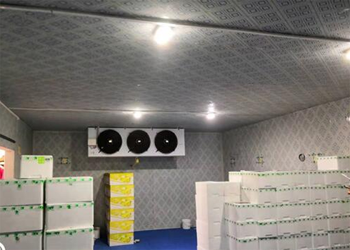 保鮮冷庫建造要求 保鮮冷庫建造要求