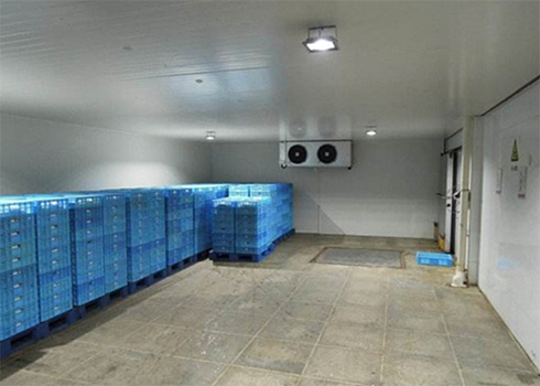 保鮮冷庫建造 保鮮冷庫建造