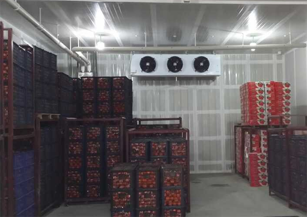 酒店低溫冷藏庫安裝價格 酒店低溫冷藏庫安裝價格