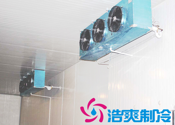 建造安裝5000㎡雞排低溫冷藏庫造價(jià)費(fèi)用是多少？