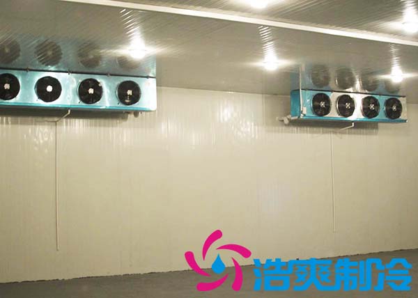 建造一間海參低溫冷凍庫大約需要多少費用？