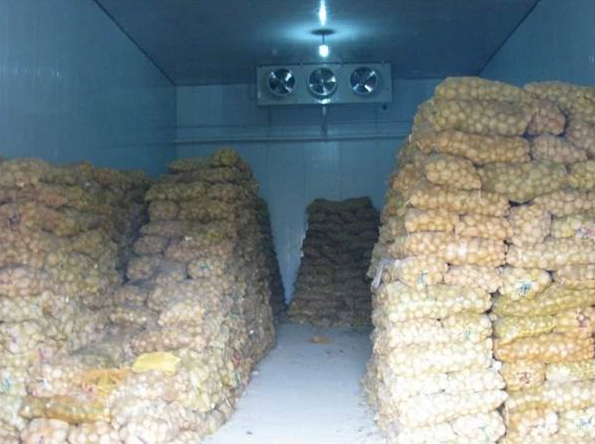 土豆冷庫的儲存方法及其冷庫建造方案_浩爽制冷 土豆冷庫的儲存方法及其冷庫建造方案_浩爽制冷