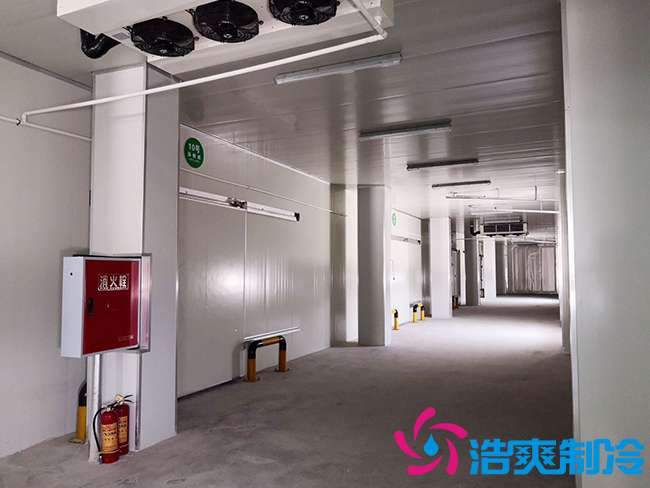 芭蕉氣調(diào)保鮮庫安裝如何確保果實(shí)的長(zhǎng)期儲(chǔ)存？_浩爽制冷