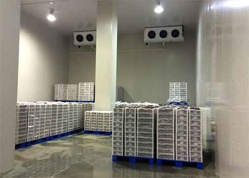 建造安裝1000㎡冷庫(kù)造價(jià)大概需要多少費(fèi)用？_浩爽制冷