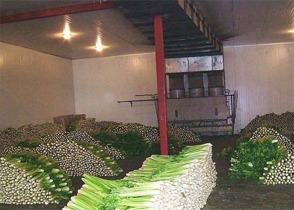 蔬菜冷庫(kù)建造存儲(chǔ)溫度及貯藏時(shí)間_浩爽制冷