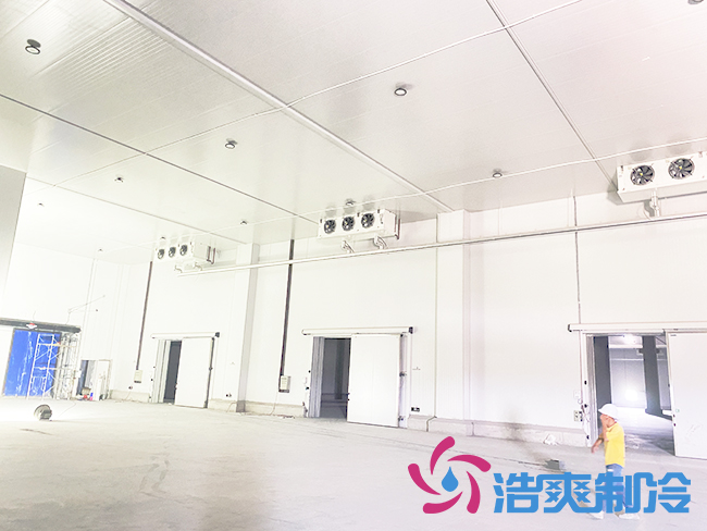 海南建造一個(gè)冷庫(kù)需要多少錢？_浩爽制冷
