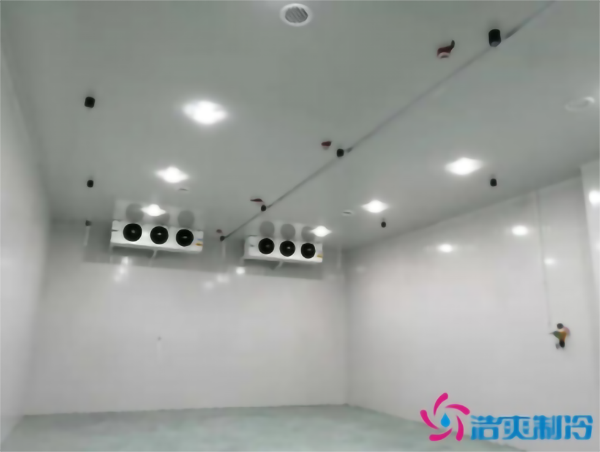 水果冷庫(kù)保鮮溫度是多少_水果冷庫(kù)造價(jià)多少錢一立方_浩爽制冷 水果冷庫(kù)保鮮溫度是多少_水果冷庫(kù)造價(jià)多少錢一立方_浩爽制冷