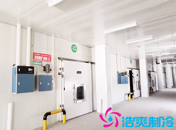 建一個(gè)果蔬保鮮冷庫要花多少錢?-浩爽制冷 建一個(gè)果蔬保鮮冷庫要花多少錢?-浩爽制冷