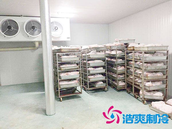 安裝一個(gè)速凍冷庫(kù)需多少錢？-浩爽制冷