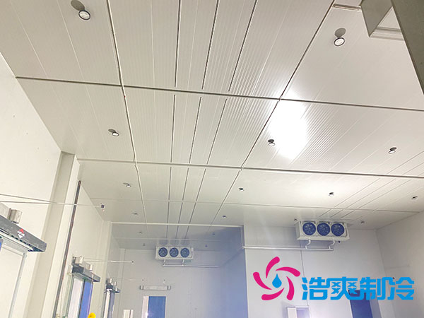 做大型冷庫的廠家有哪些公司？