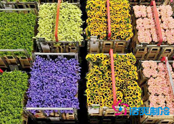 花卉冷庫安裝預(yù)算造價多少錢？-浩爽制冷