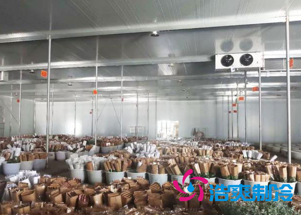 鮮花冷庫(kù)安裝報(bào)價(jià)明細(xì)表清單,不同規(guī)格鮮花冷庫(kù)造價(jià)表-浩爽制冷 鮮花冷庫(kù)安裝報(bào)價(jià)明細(xì)表清單,不同規(guī)格鮮花冷庫(kù)造價(jià)表-浩爽制冷