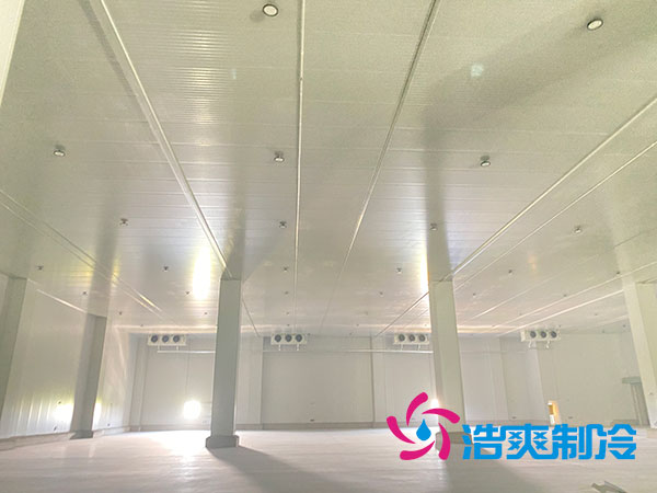 蔬菜冷庫(kù)設(shè)計(jì)方案 蔬菜冷庫(kù)設(shè)計(jì)方案