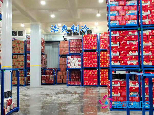 保鮮冷庫造價(jià)概覽，果蔬保鮮庫費(fèi)用解析