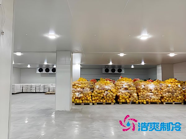 建設(shè)大型蔬菜保鮮庫的造價及安裝費用解析-浩爽制冷