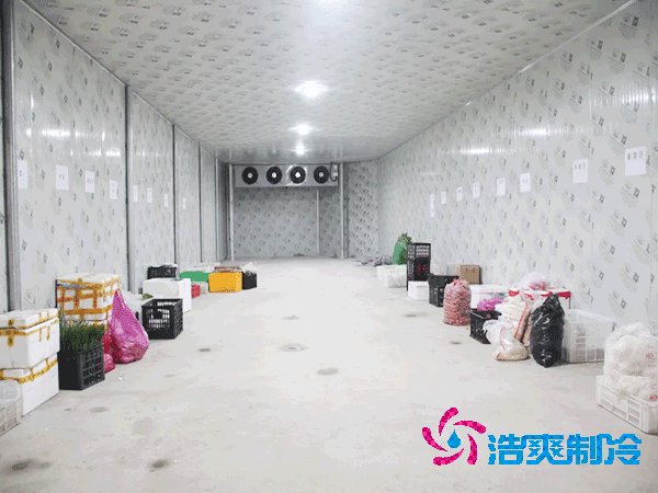 建設(shè)大型蔬菜保鮮庫的造價及安裝費用解析-浩爽制冷