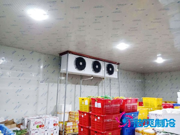 果品冷庫設(shè)計與安裝造價如何計算？-浩爽制冷