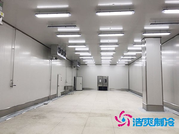 建造1000平方米大型海鮮冷庫(kù)的造價(jià)問(wèn)題及全面解析