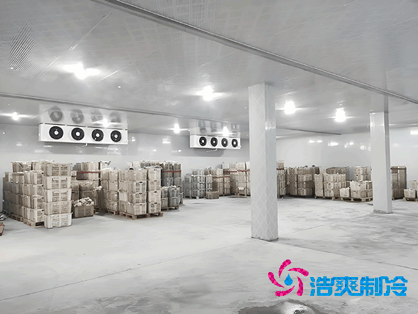 1000立方冷庫造價預算及耗電量解析